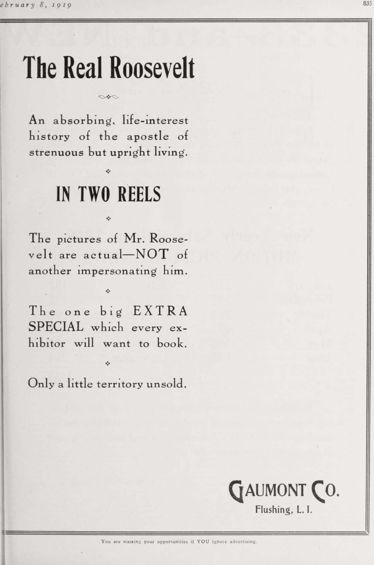 The Real Roosevelt poster – Cult Cinema