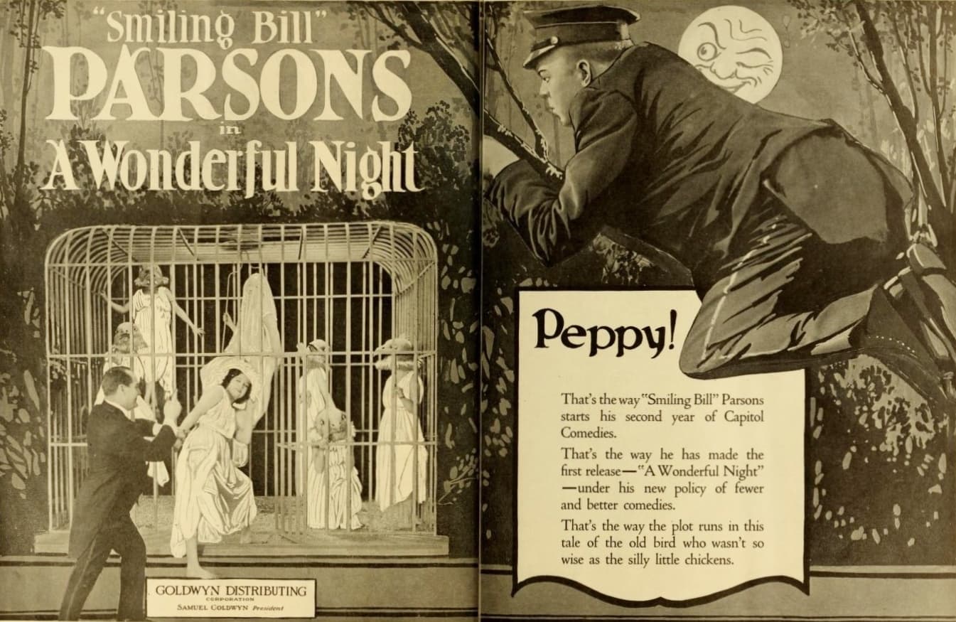 A Wonderful Night poster