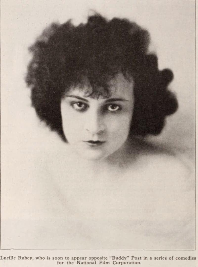 A Fly in the Ointment poster