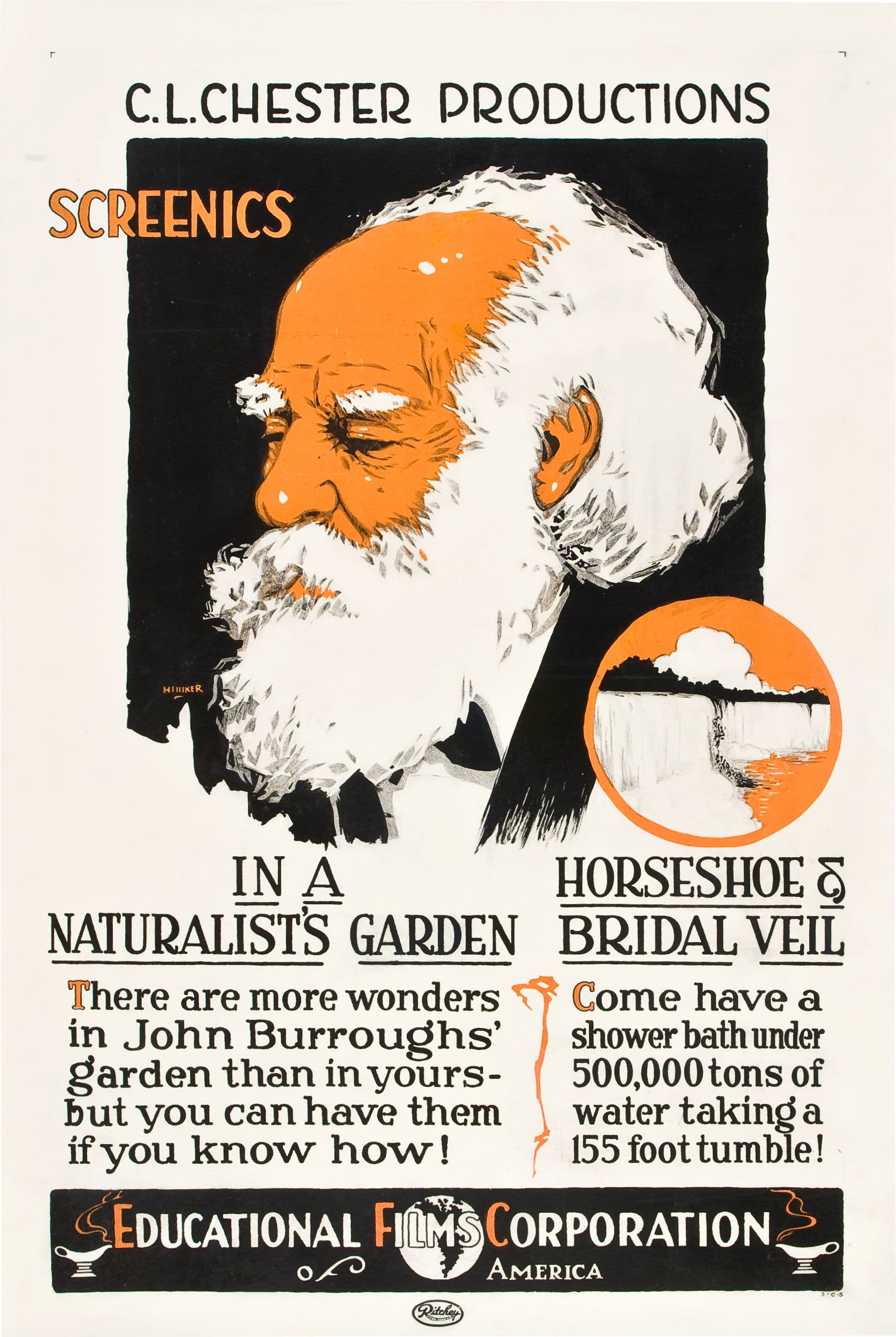 Horseshoe and Bridal Veil poster – Cult Cinema