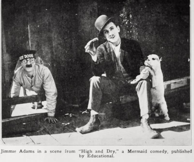 High and Dry poster – Cult Cinema