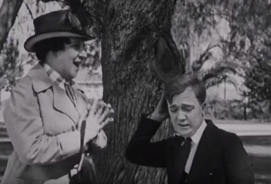 A Bashful Bigamist poster