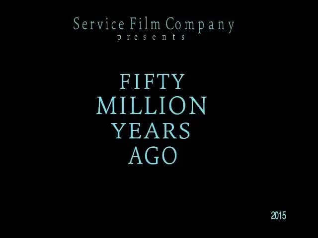 Fifty Million Years Ago