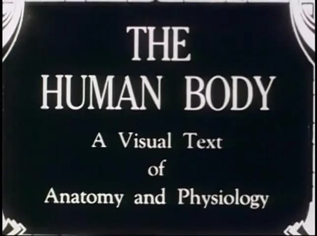 The Human Body