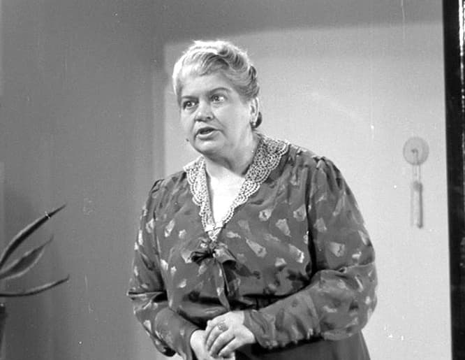 Antonie Nedošinská