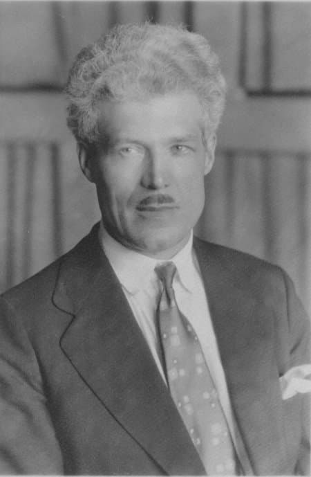 The Burglar and the Lady poster – Cult Cinema