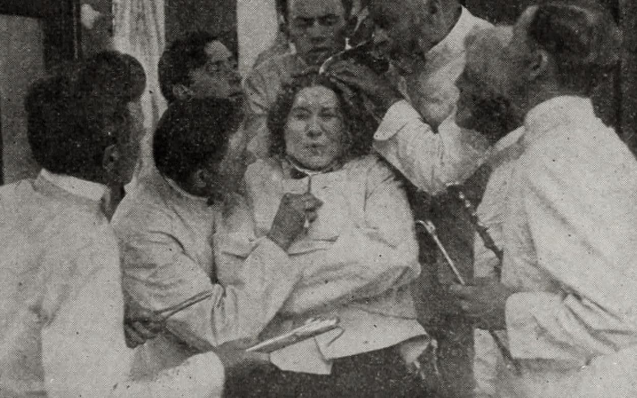 Mary's Lamb poster – Cult Cinema