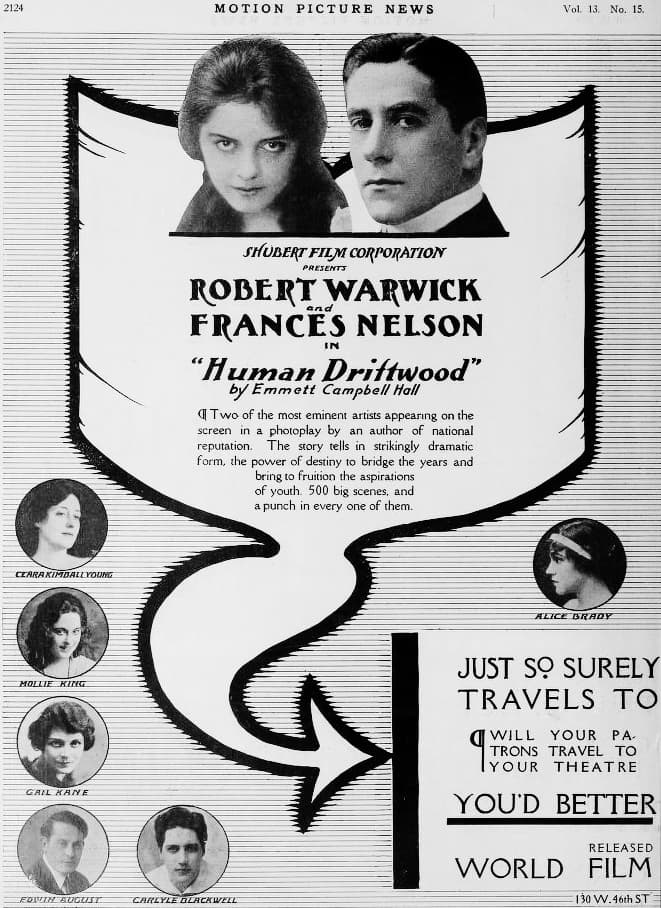 Human Driftwood poster