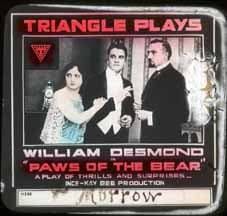 Paws of the Bear poster