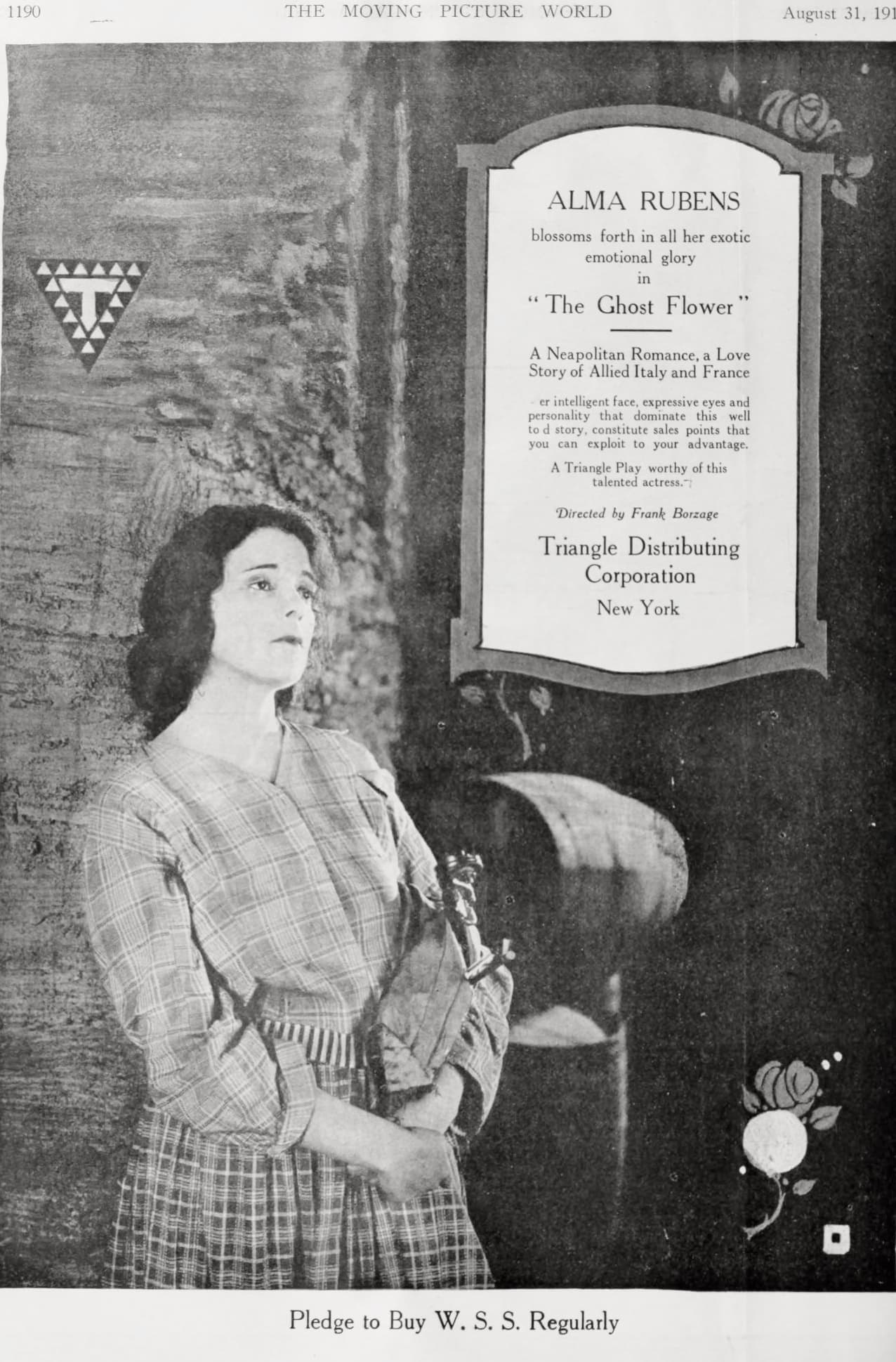 The Ghost Flower poster