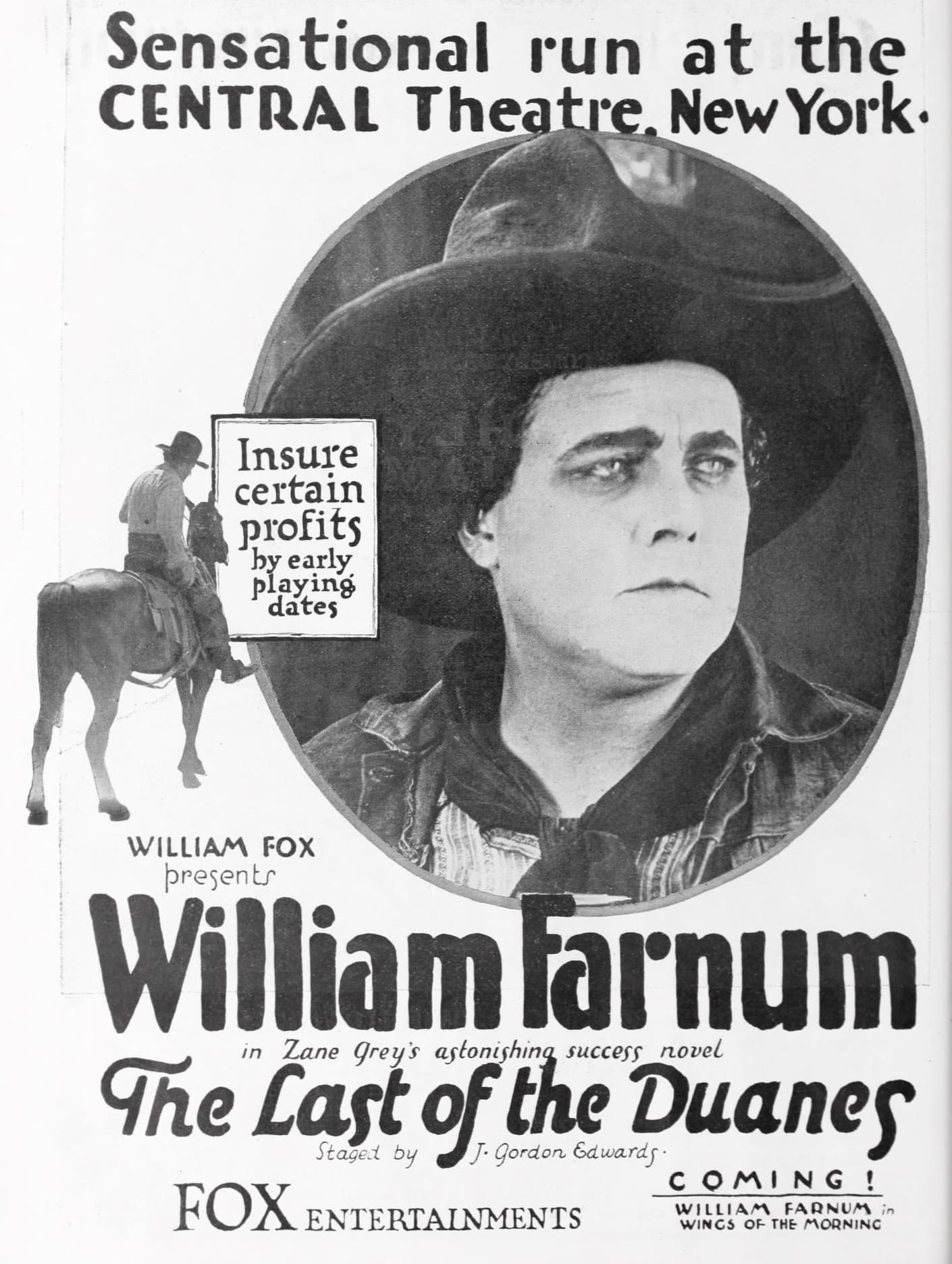 The Last of the Duanes (1919) film backdrop