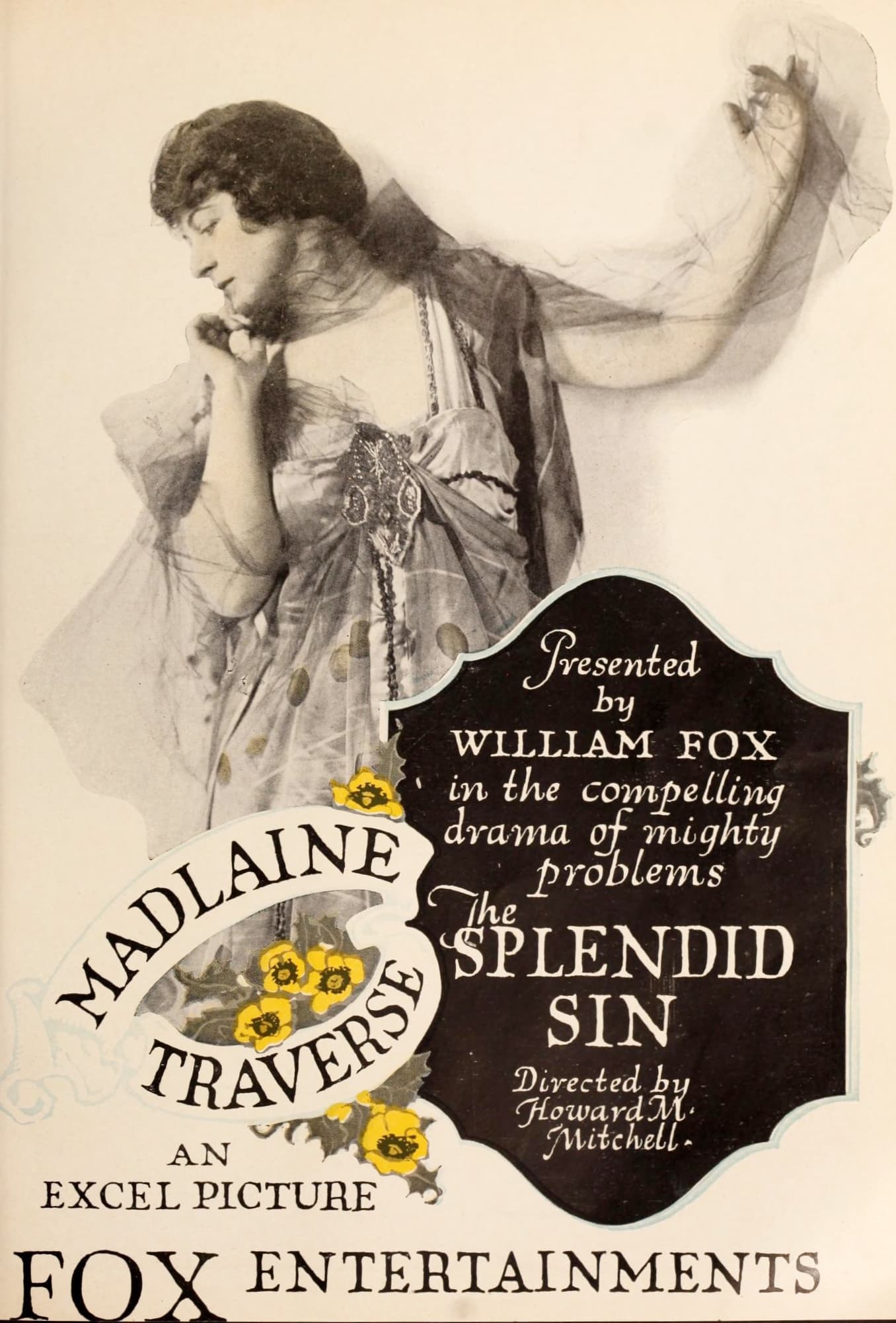 The Splendid Sin (1919) film backdrop