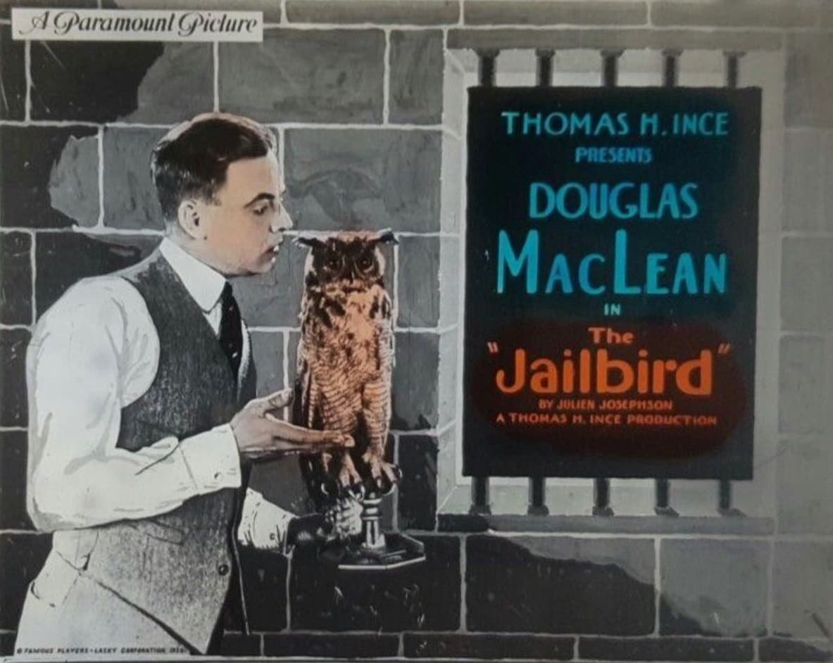 The Jailbird poster