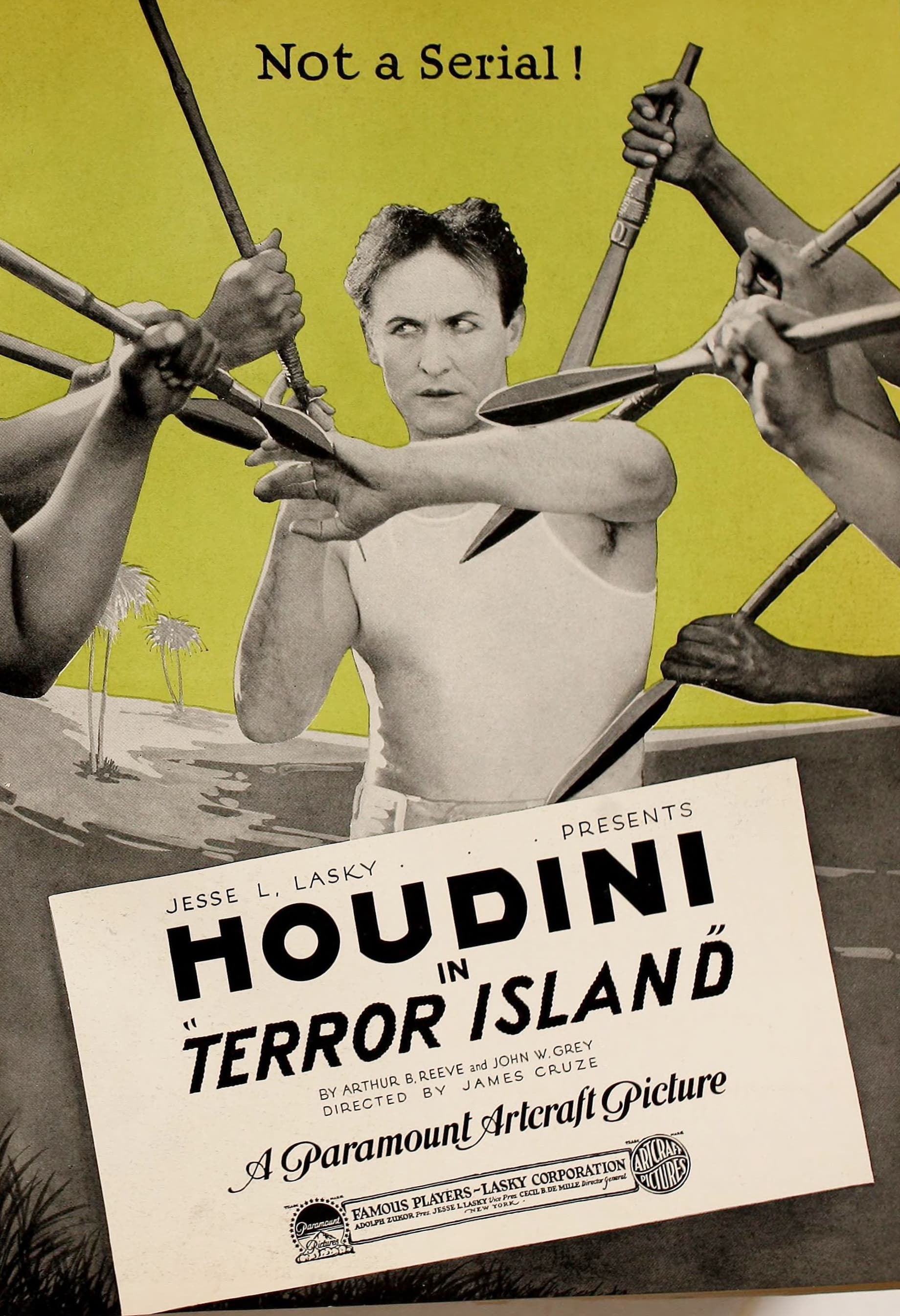 Terror Island (1920) film backdrop
