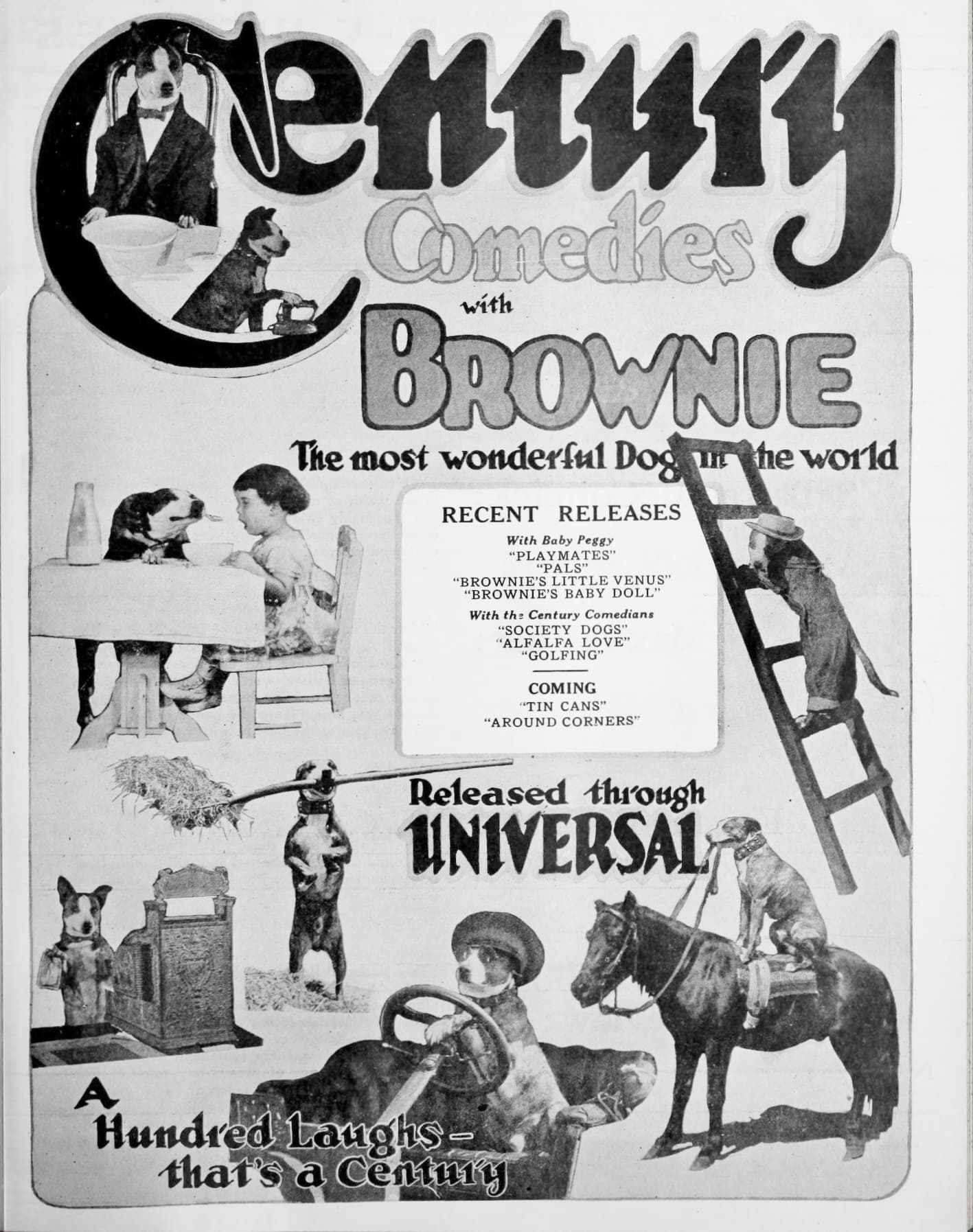 Brownie's Baby Doll poster