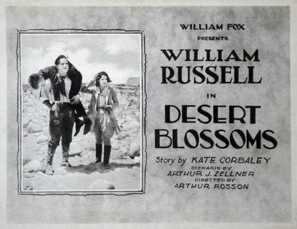 Desert Blossoms poster – Cult Cinema