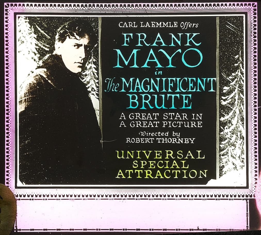 The Magnificent Brute poster – Cult Cinema