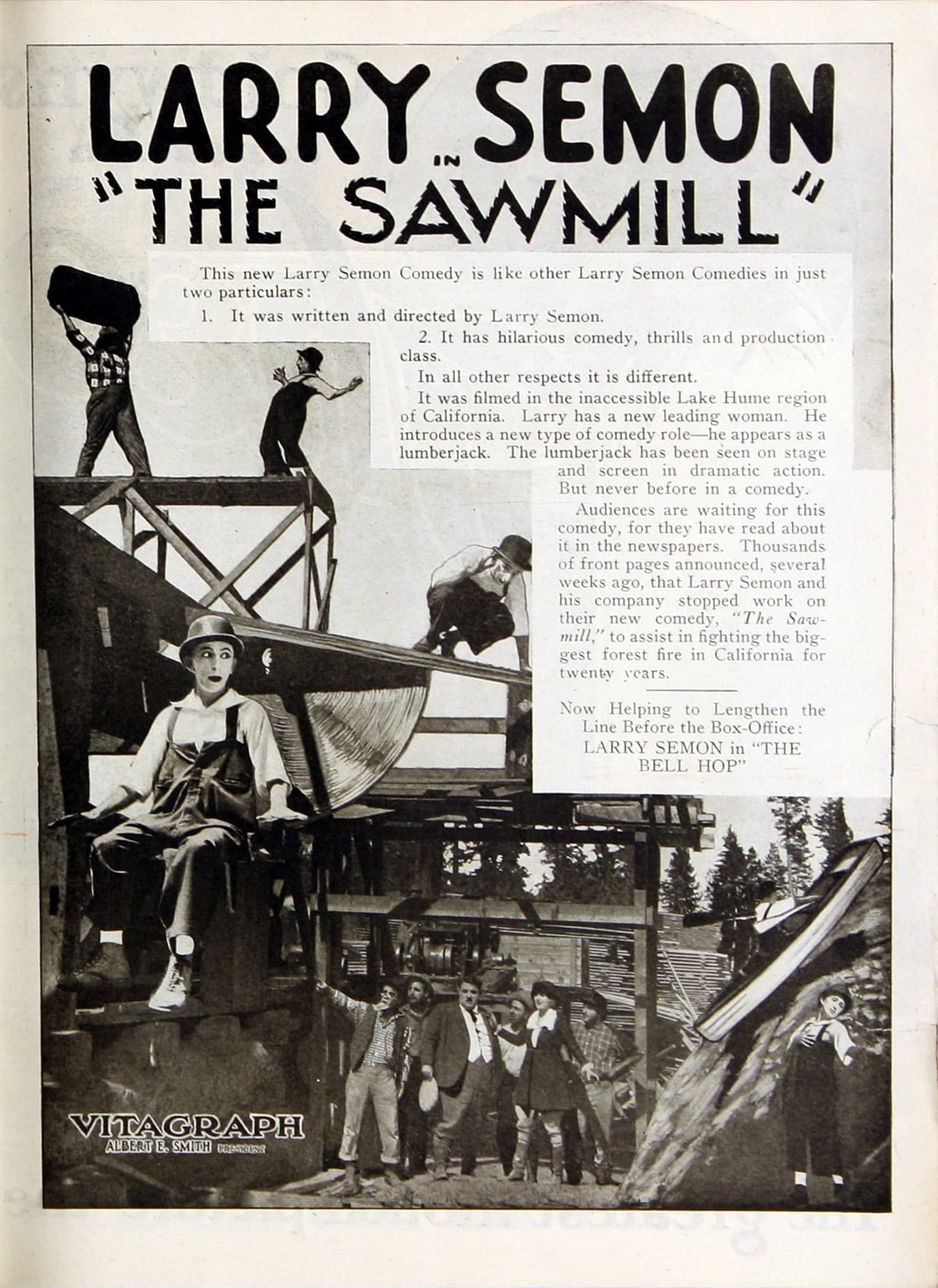 The Sawmill poster – Cult Cinema