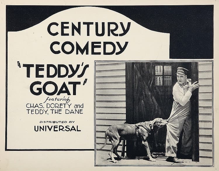 Teddy's Goat poster