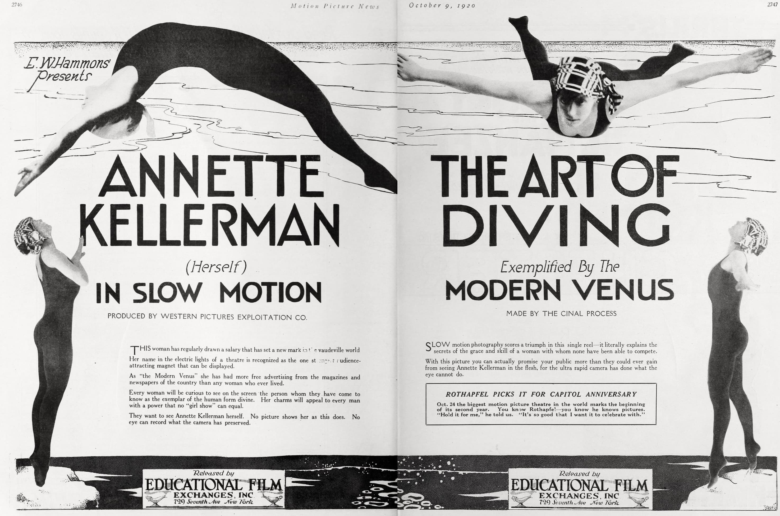 The Art of Diving