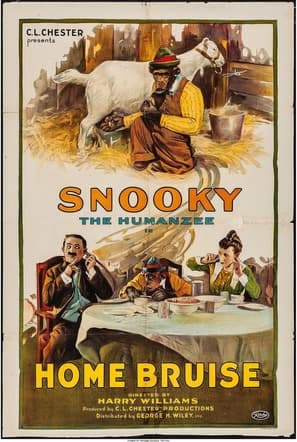 Snooky's Home Run poster