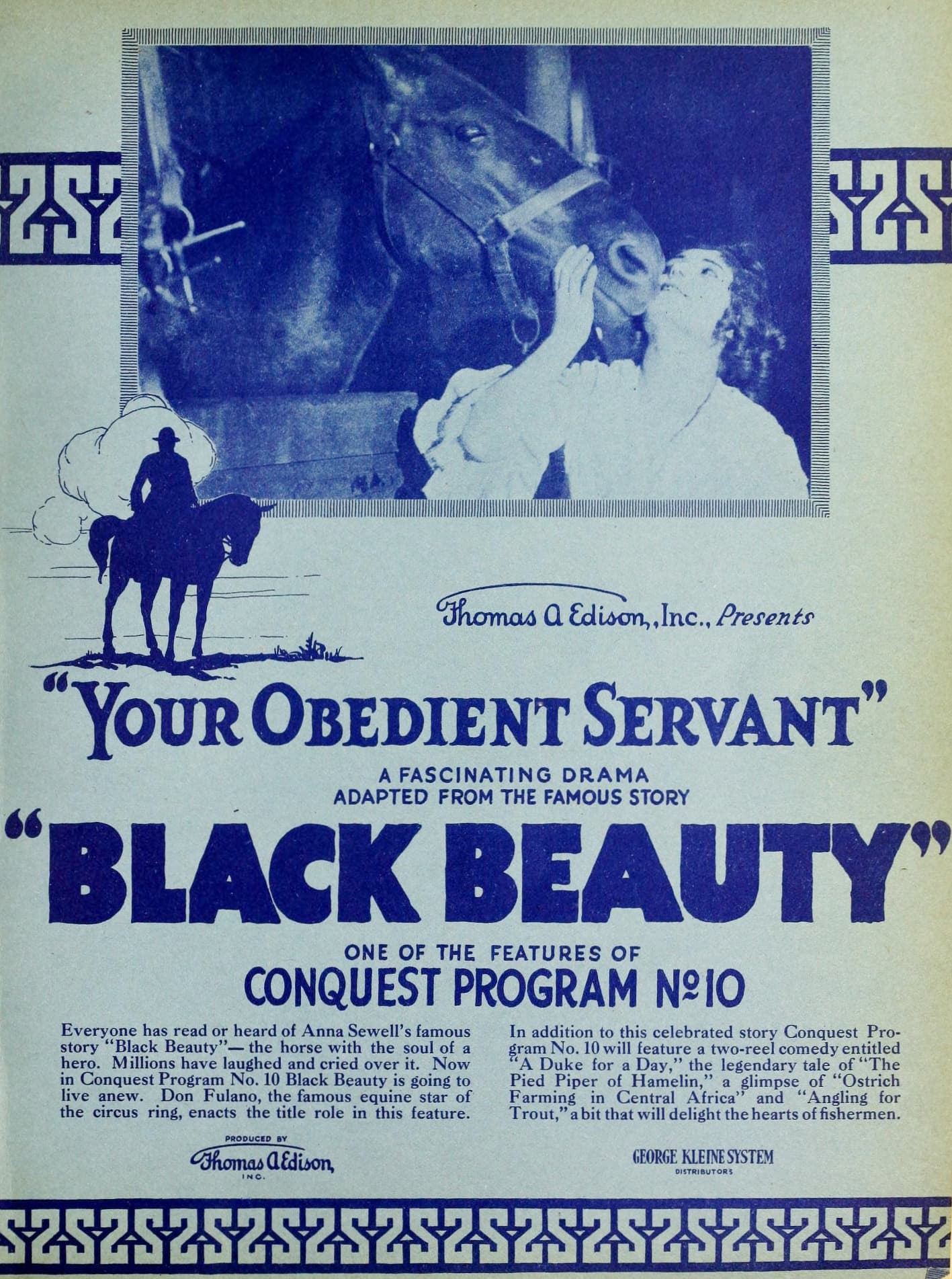 Black Beauty poster