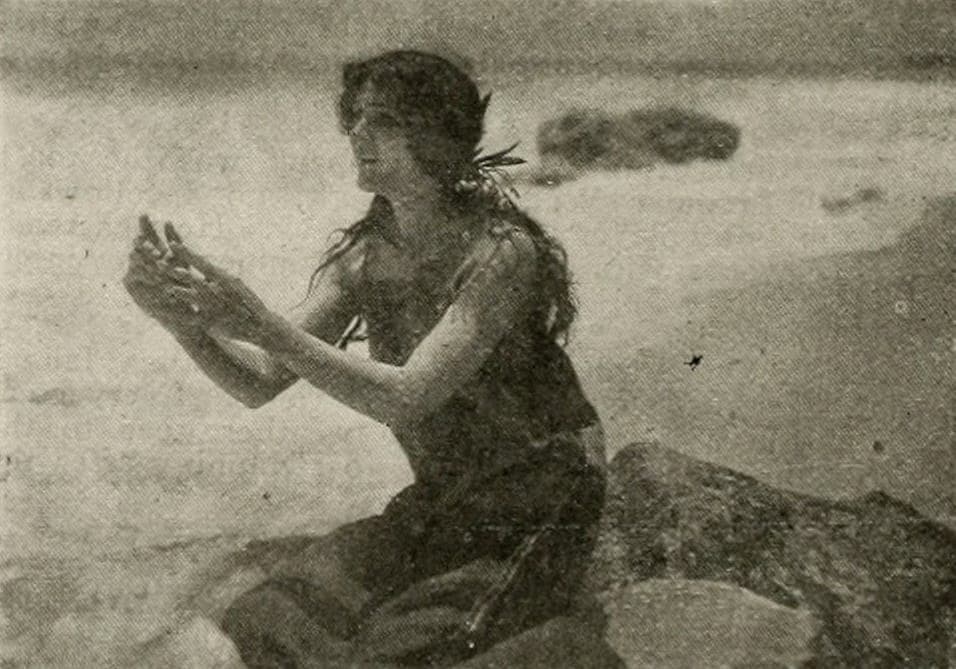 The Ticket-of-Leave Man poster – Cult Cinema