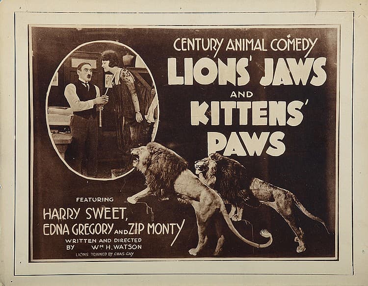 Lions' Jaws and Kittens' Paws poster – Cult Cinema
