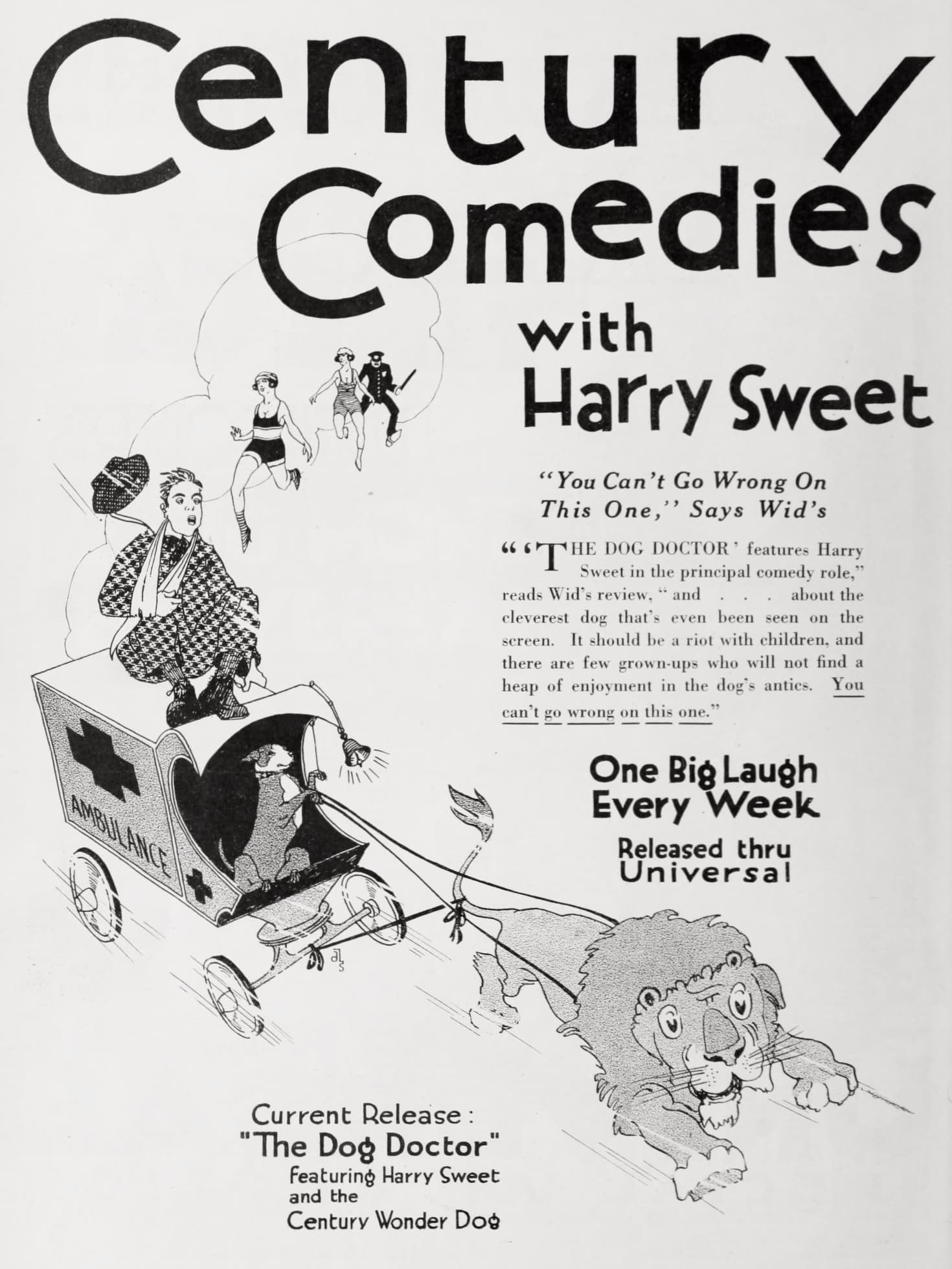 The Dog Doctor poster – Cult Cinema