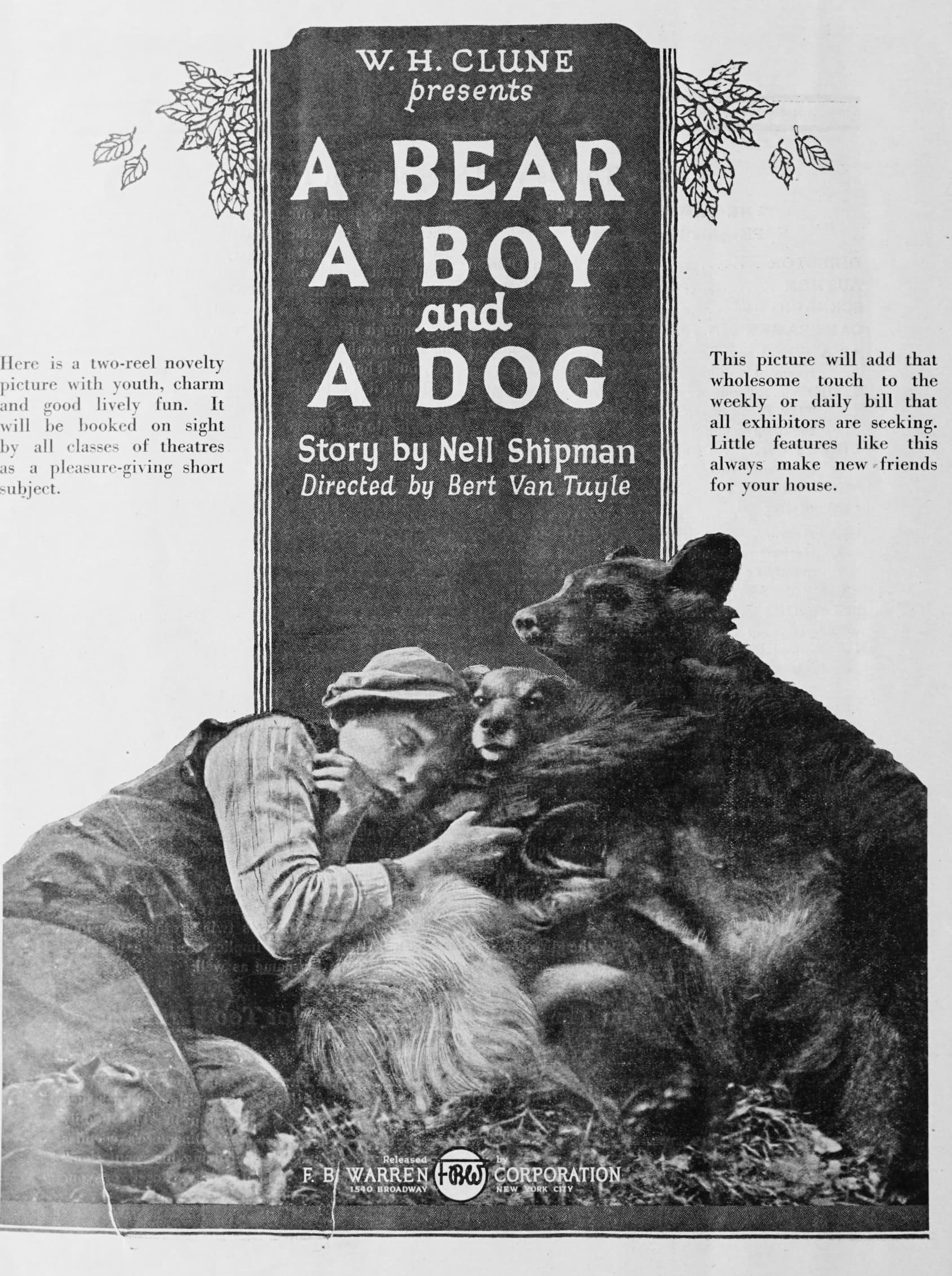 A Bear, a Boy and a Dog poster – Cult Cinema