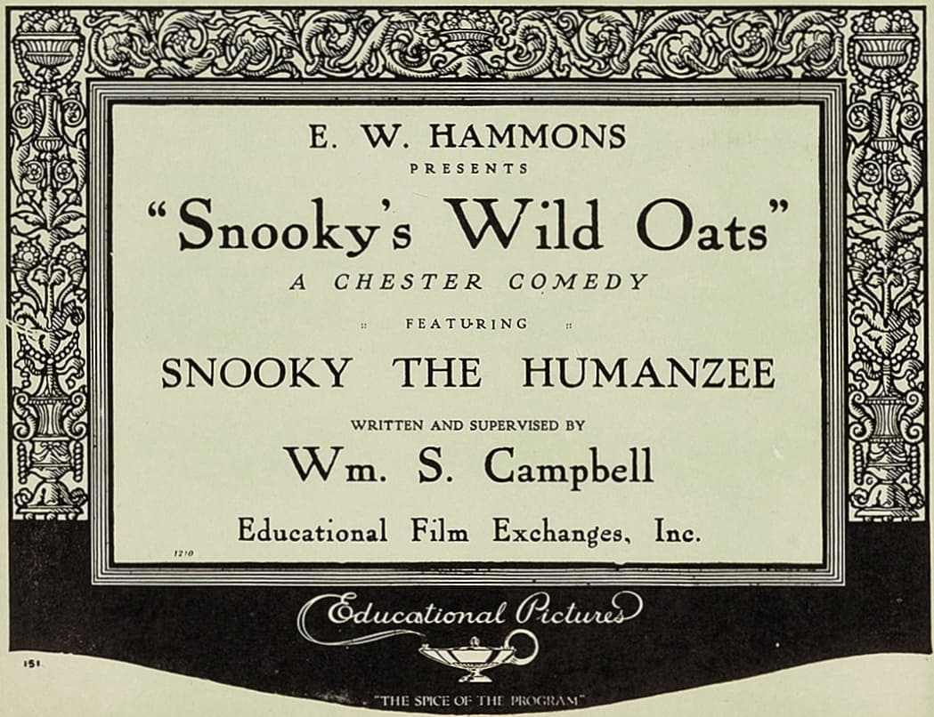 Snooky's Wild Oats poster – Cult Cinema
