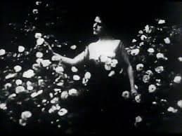 La signora delle camelie