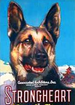 Strongheart the Dog